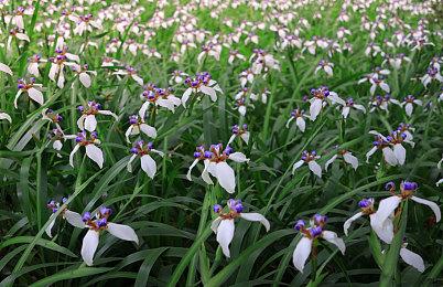 宇航员模拟《Heavenly Bodies》明年2月登陆NS平台